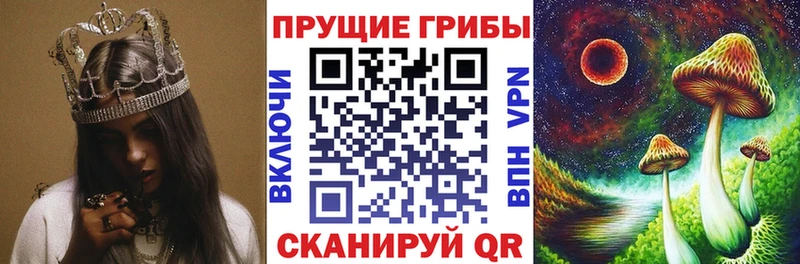 даркнет сайт  darknet официальный сайт  MEGA сайт  Галлюциногенные грибы прущие грибы  Балабаново 