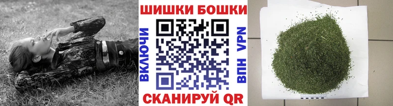 Конопля сатива Балабаново